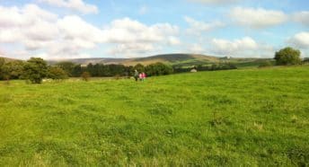 Walking