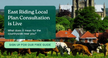 Cattle grazing in a lush green field with a church steeple visible in the background against a clear blue sky. Text reads: East Riding Local Plan Consultation is Live. What does it mean for the countryside near you? Sign up for our free guide.