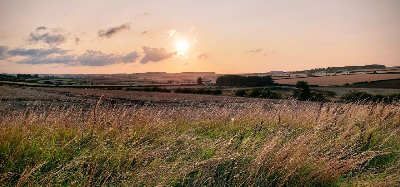 A sun setting over the East Yorkshire countryside, with light fluffy clouds in the sky, rolling hills in the background and a meadow in the foreground.