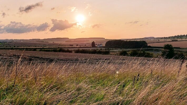 A sun setting over the East Yorkshire countryside, with light fluffy clouds in the sky, rolling hills in the background and a meadow in the foreground.