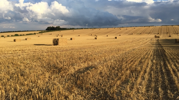Safeguarding Farmland