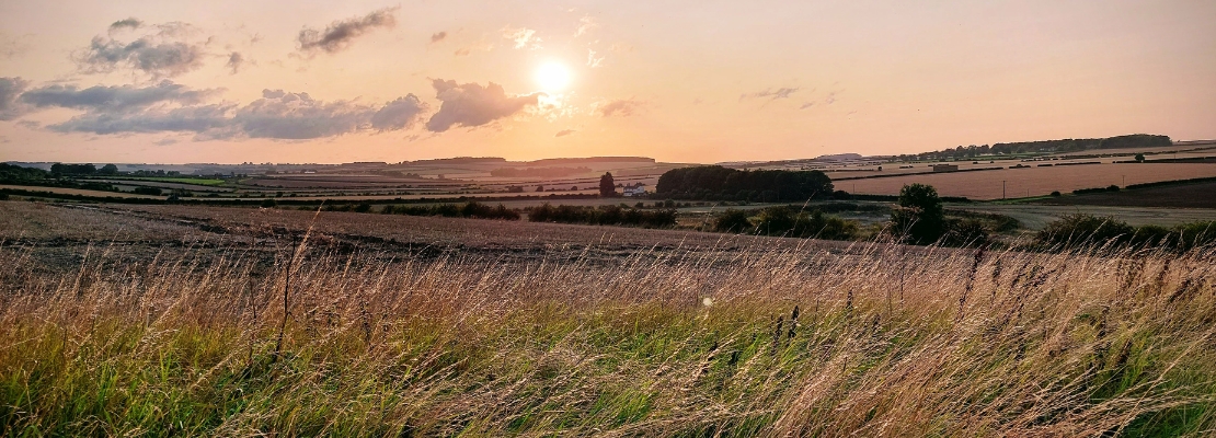 A sun setting over the East Yorkshire countryside, with light fluffy clouds in the sky, rolling hills in the background and a meadow in the foreground.
