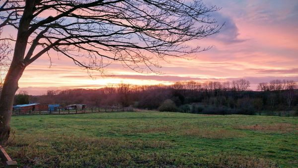 A beautiful purple haze sunset over a green field