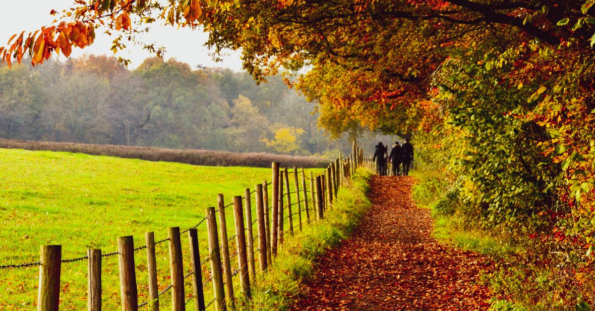 Autumn Walking Guide